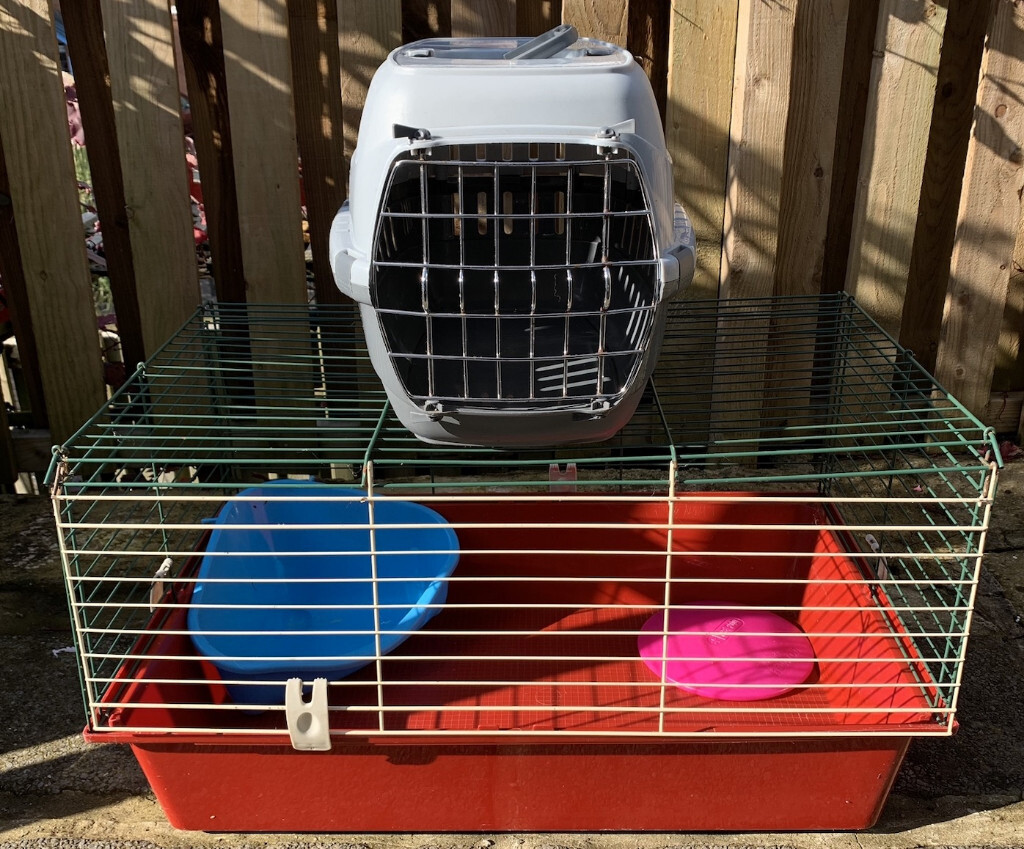 best pet surveillance camera